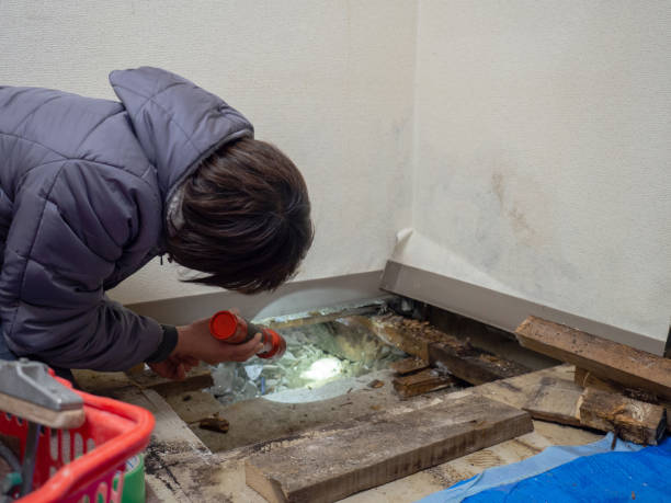 Best Biohazard Mold Removal  in Merced, CA