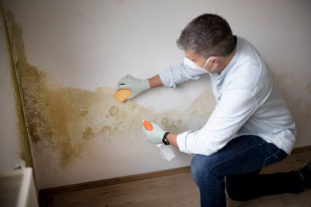 Best Water Damage & Mold Remediation  in Merced, CA