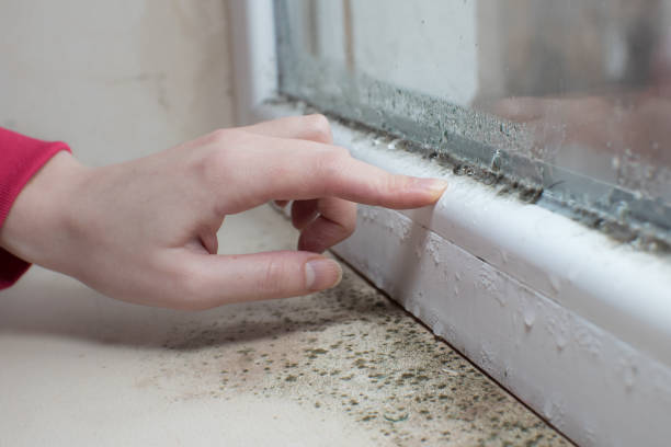 Best Crawl Space Mold Remediation  in Merced, CA